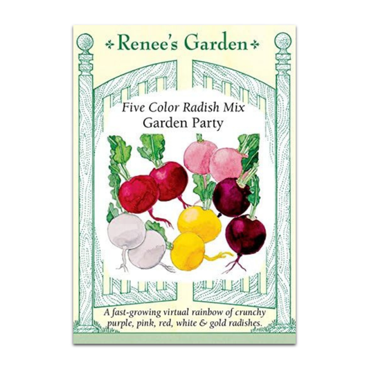 Rabano Cinco Colores