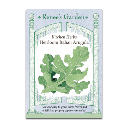 Arugula Italiana