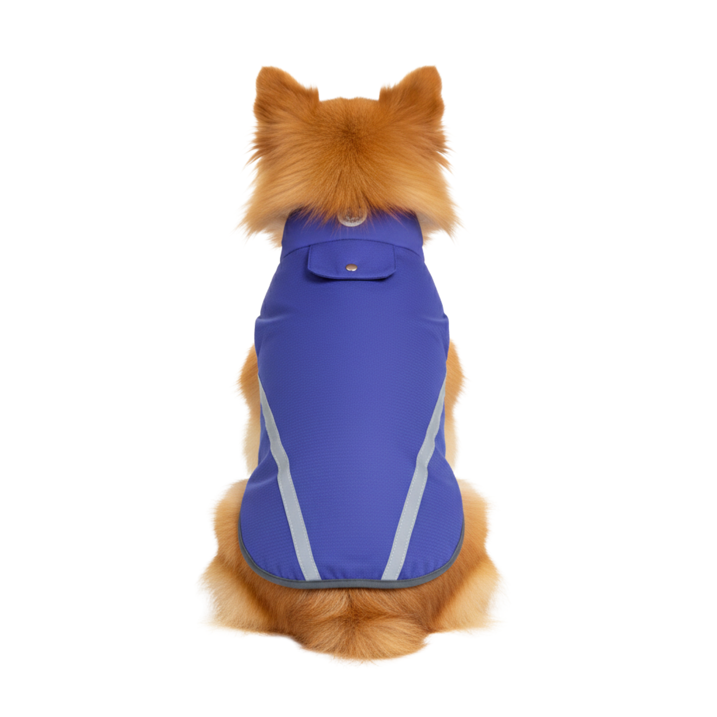 Capote Para Mascote Azul Con Raya Blanca/ L