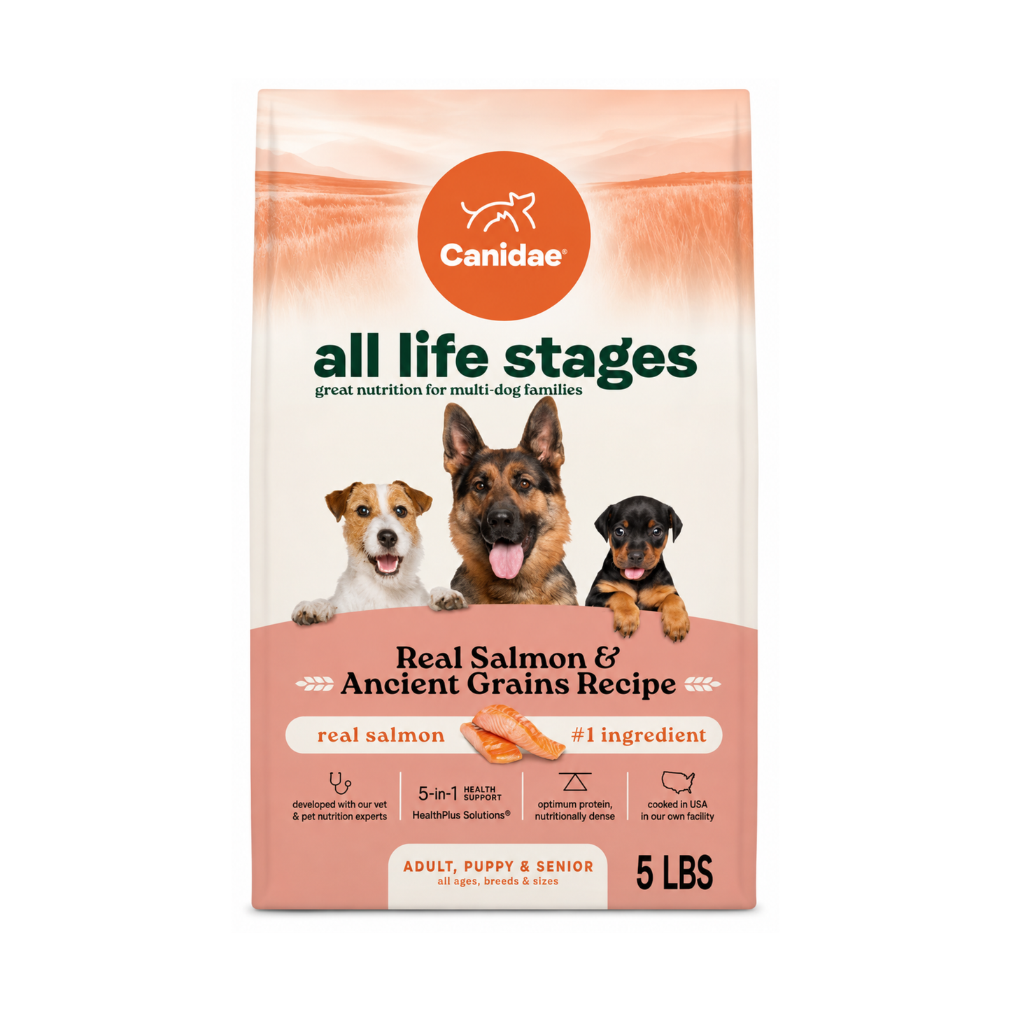 Alimento Canidae Salmón y Granos 5LB