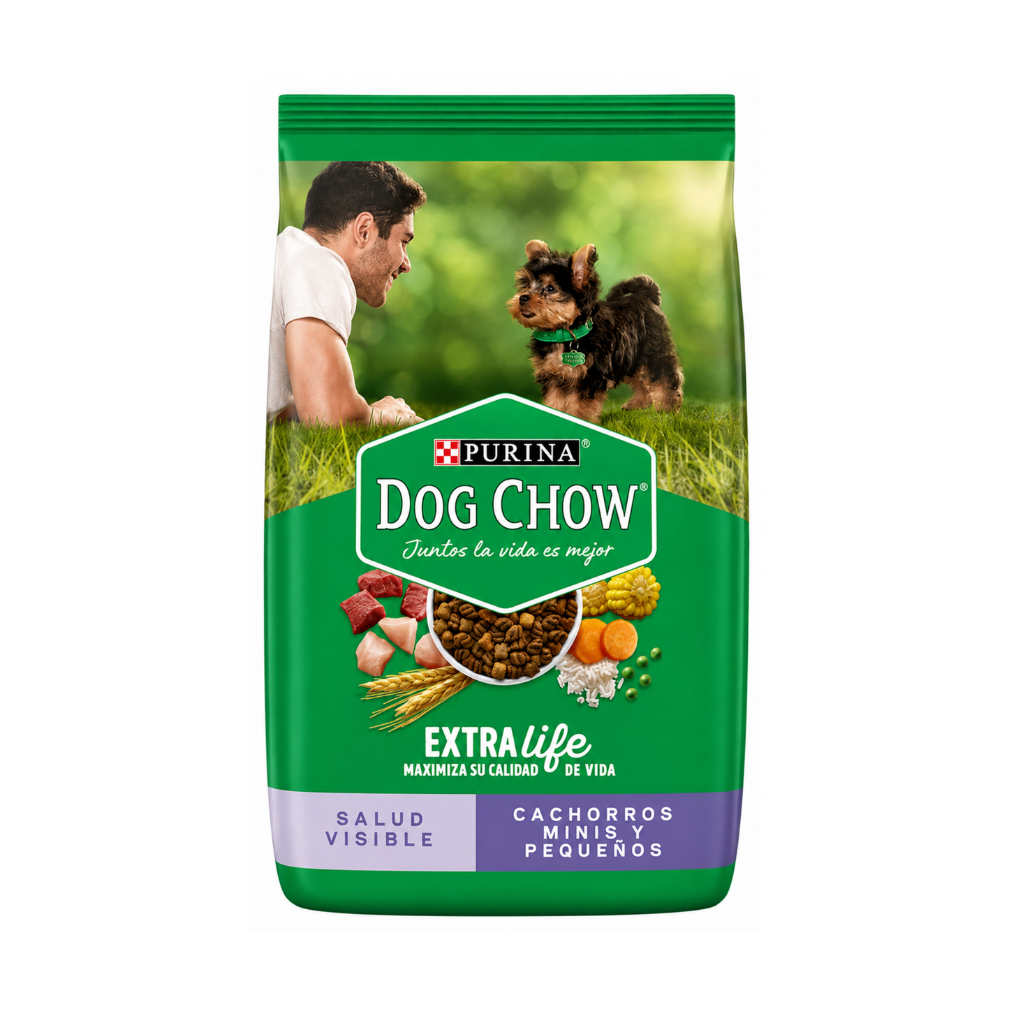 DOG CHOW CACHORROS RAZAS PEQUENAS 4KG MX