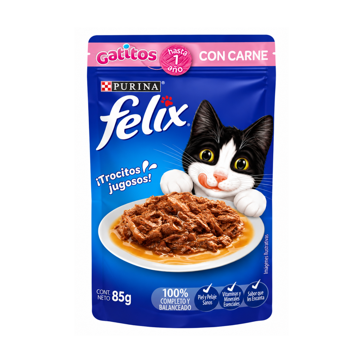 FELIX CARNE GATITOS 85G MX