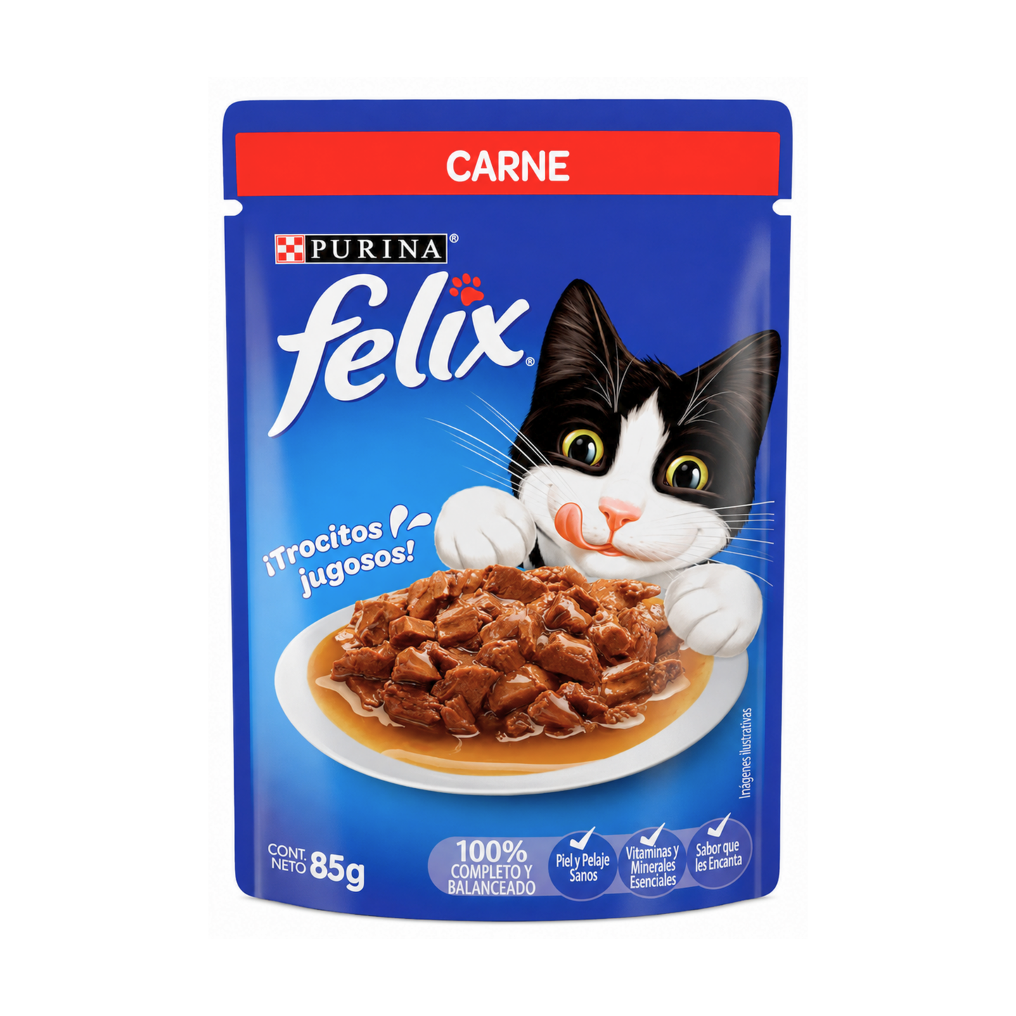 FELIX CARNE 85G MX