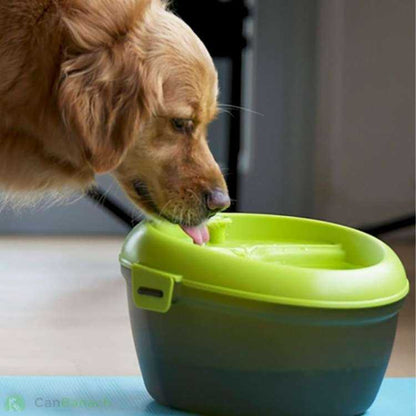 Fuente de Agua para Perro Verde