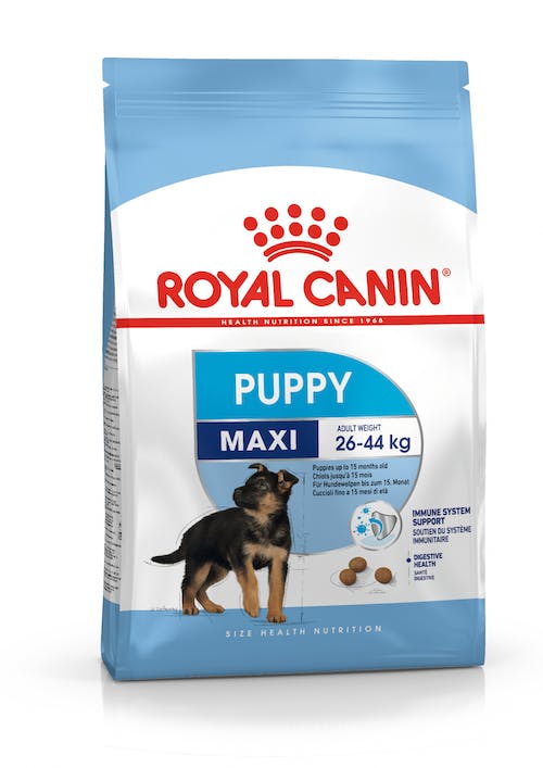 Alimento Seco Para Cachorros Royal Canin Maxi Puppy