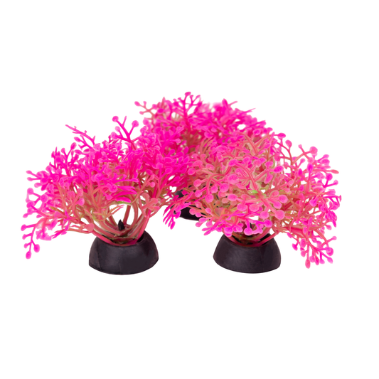 Planta Plastica P Betta S-241 (1 Unidad )