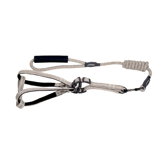 Guia y Pechera Gris 10Mm-120Cm