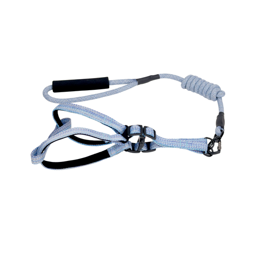 Guia y Pechera Azul 10Mm-120Cm