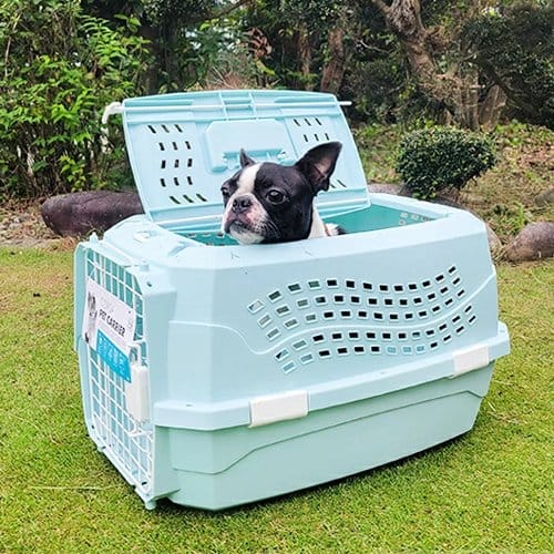 Kennel Celeste Para Mascota - S