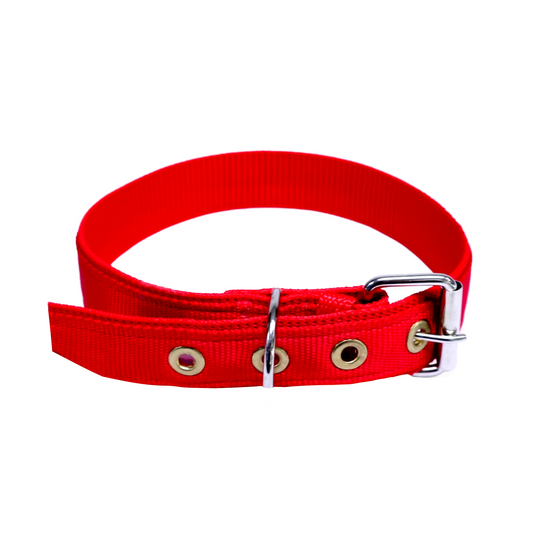 Collar Para Mascota- #22 Sencillo