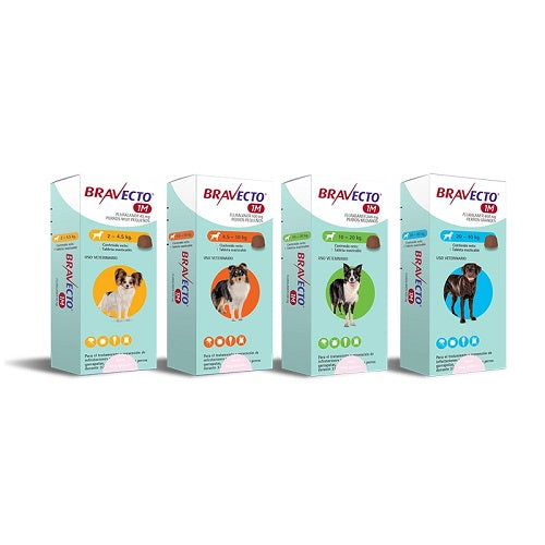 Desparasitante Externo Bravecto para Perros 1 Mes