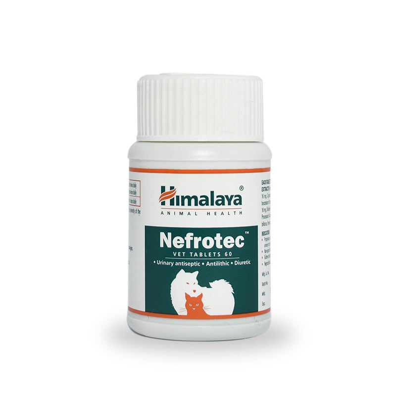 Himalaya Nefrotec 1 Tableta