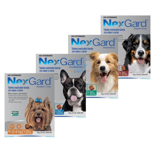 Desparasitante Externo para Perro Nexgard