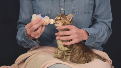 Leche Liquida para Gatos KMR 11 Oz