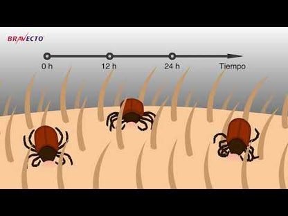 Desparasitante Externo Bravecto para Perro