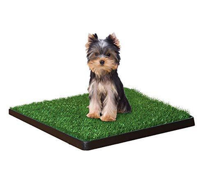 Litera Para Perro Sm Potty