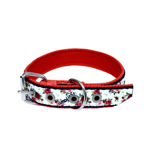 Collar #22 Doble