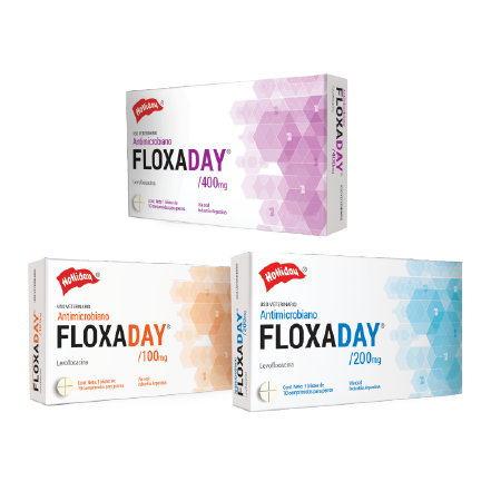 Medicamento Para Perros Floxaday 10 Tabletas